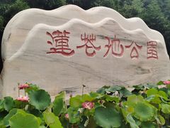 -莲花池公园