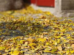 -隆福寺小吃店(东四店)