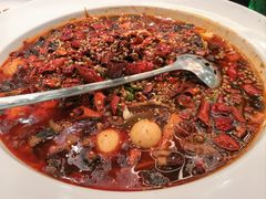 -来相会饺子·新辽菜(甘家口店)