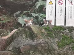 -台湾味正点车轮饼可丽饼(南禅寺店)