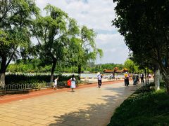 -洛龙公园