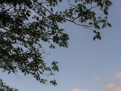 -水上明月·湖景餐厅