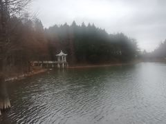 -四明山国家森林公园