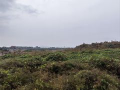 -绿堤公园