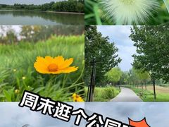 -南海子公园