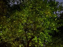 -水濂山森林公园