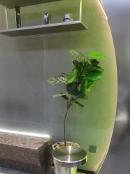 -不迫先生专业男士剪发