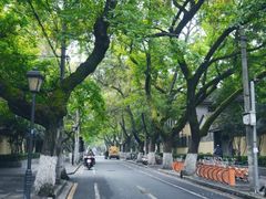 -颐和路民国时期公馆风貌区