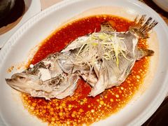 清蒸桂花鱼-侨美食家·粤菜(体育西路店)