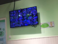 -学知乐教育·幼小衔接·小学科辅导(嘉定镇校区)