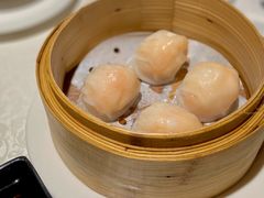 维园虾饺皇-维园悦谱·海派家常菜(乌鲁木齐南路店)