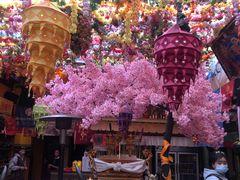 -吉祥圣雪藏餐