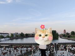-铁桥