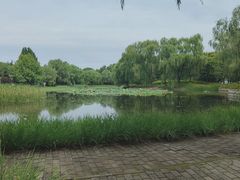 -望湖公园