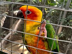 -大连森林动物园