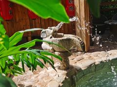 -云涛森林温泉