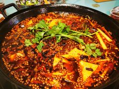 -鸿顺老铁锅美蛙鱼府(解放碑店)