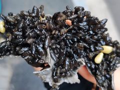 -旺福楼·包点(碑亭巷店)