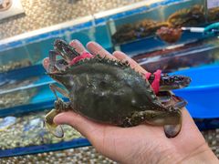 -港畔赶海蒸汽海鲜烧烤自助(仙螺岛店)