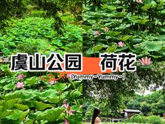-虞山风景区