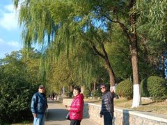 -丁香湖公园