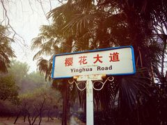 -武汉大学-樱园