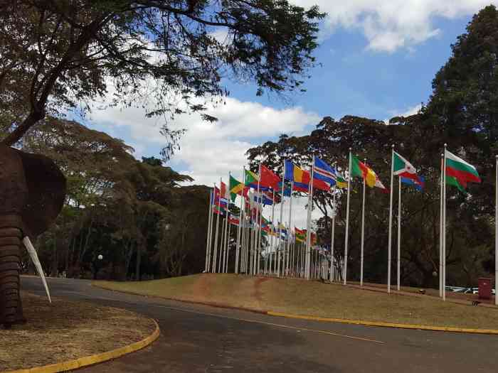 联合国环境规划署-"联合国环境规划署位于肯尼亚首都内罗毕,清.