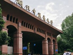 -湖北中医药大学(昙华林校区)