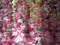 -杭州西湖星空魔幻城(星空艺术馆品牌旗舰店)