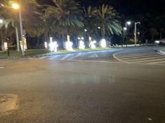 -野狸岛