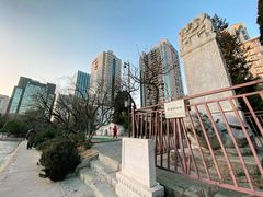 -团结湖公园