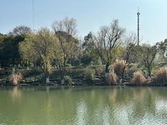 -中国湿地博物馆