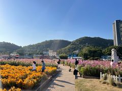 -玫瑰海岸文化旅游度假区