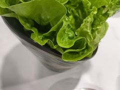 -HONGA HONGA雄家(曹路店)