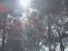 -苏州河梦清园环保主题公园