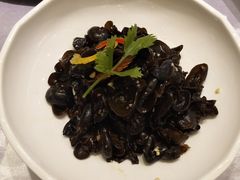 -宝燕壹号(徐汇店)