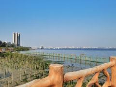-霞山观海长廊