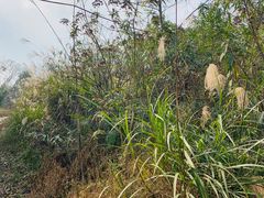 -西南交通大学(峨眉校区)