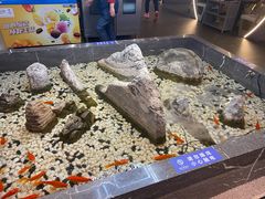 -额尔敦传统涮(体育场店)