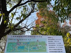 -上海海湾国家森林公园