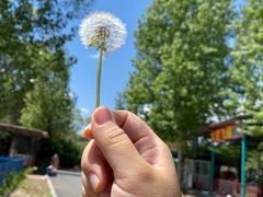 -沈阳森林动物园