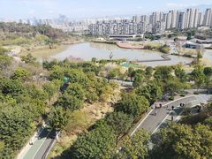 -飞凤山奥体公园