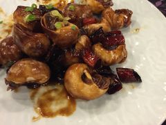 -浩运·海鲜青岛菜·海胆水饺(石老人店)