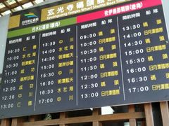 -金盆阿嬷香菇茶叶蛋(玄光店)
