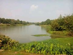 -艾溪湖湿地公园