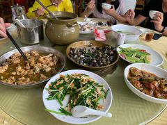 -水上鱼当家