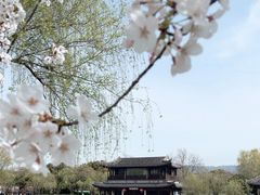 -尚湖风景区