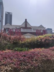 -禾丽康美医疗美容医院