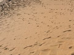 -银肯塔拉沙漠生态旅游景区