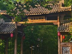 -杨家堂村